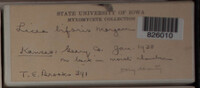 Image Associated With the Occurence